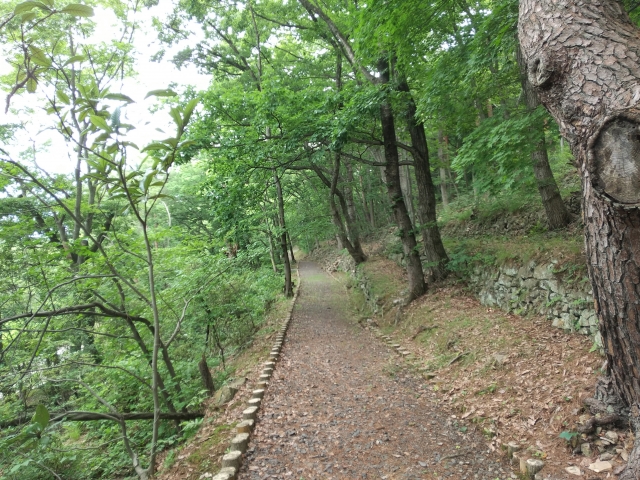 福島市信夫山公園の道