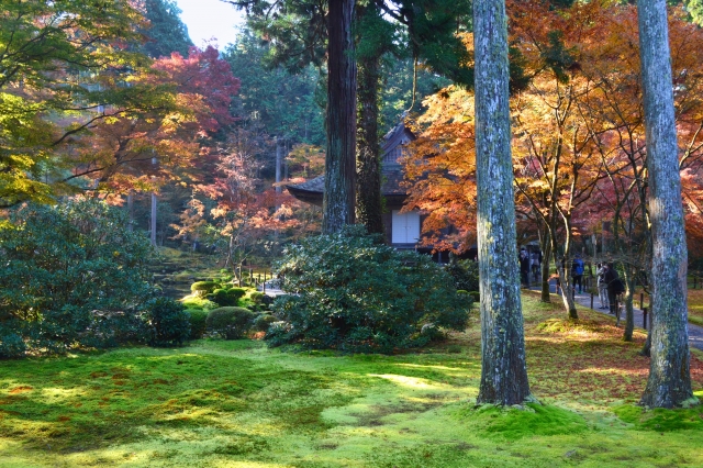 錦秋の有清園