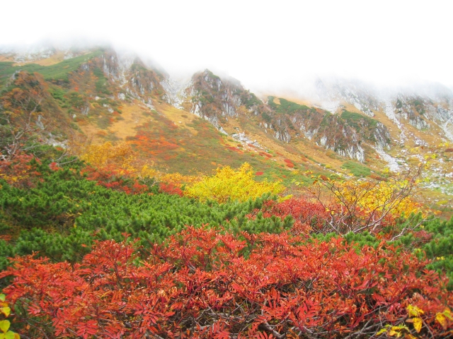 千畳敷カールの紅葉