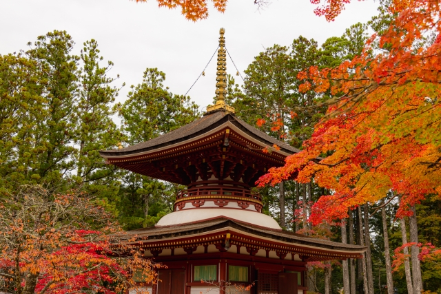 高野山の紅葉