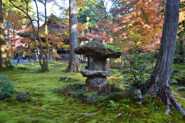 紅葉時期の京都三千院