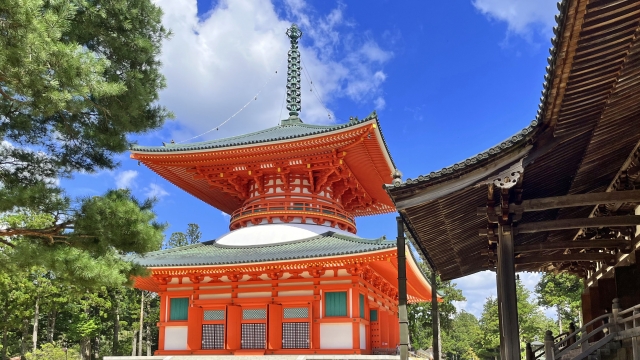 真言宗総本山 壇上伽藍金堂・大塔