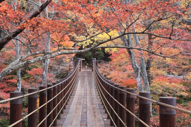 花貫渓谷の紅葉時期のつり橋