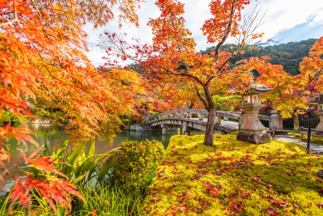 永観堂の紅葉