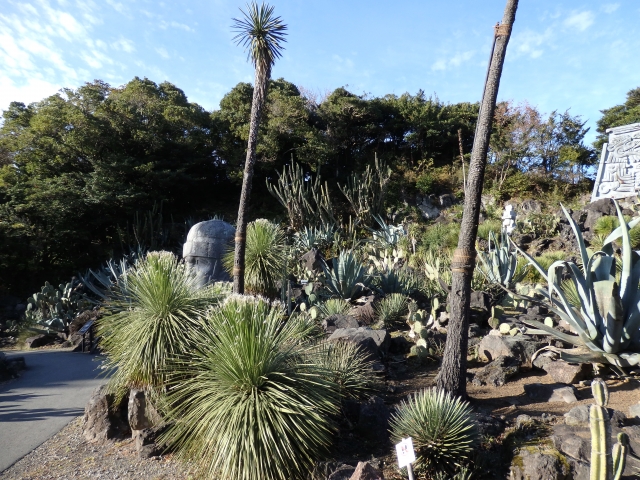 伊豆シャボテン公園