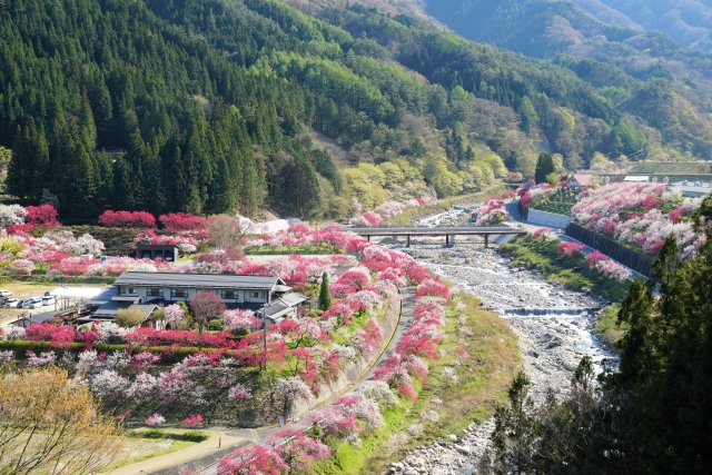 春の昼神温泉